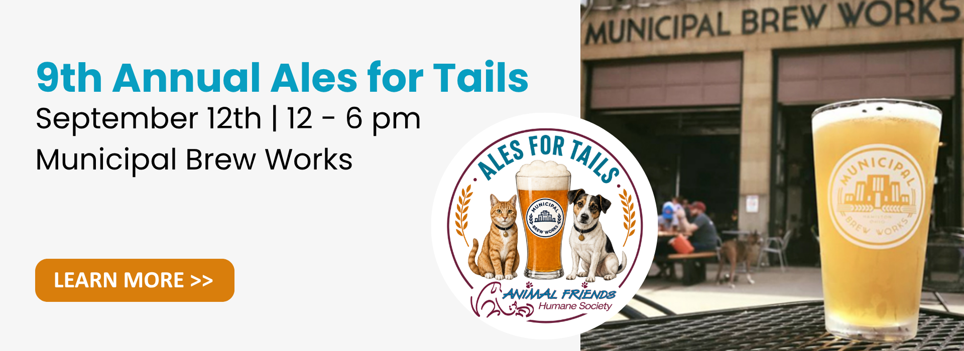 Ales for Tails